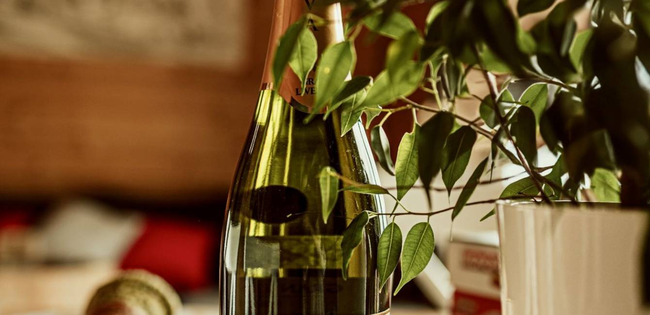 Apartament Przestronny III