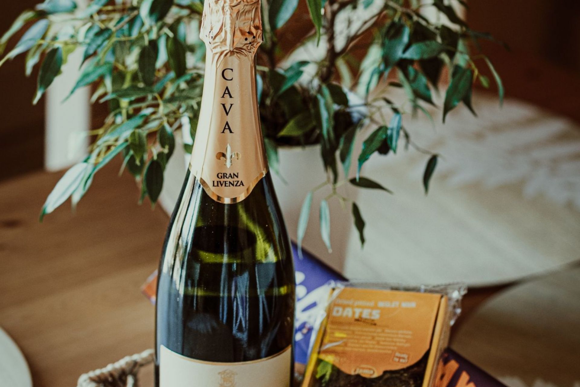 Apartament Kameralny I