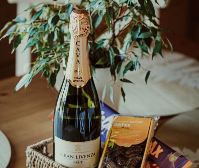 Apartament Kameralny III