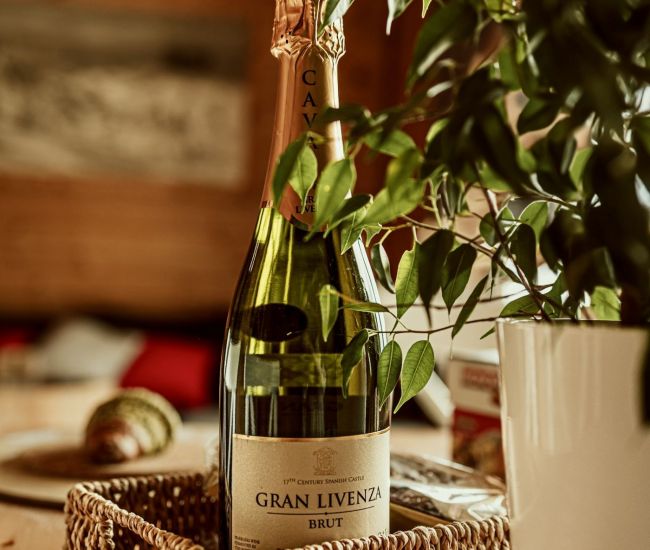 Apartament Przestronny III